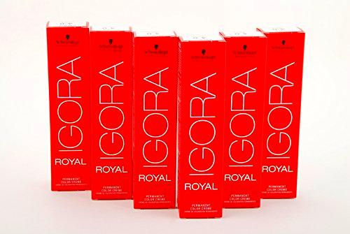 Schwarzkopf Igora Royal 1-1 - Tinte para cabello (6 unidades, 60 ml)